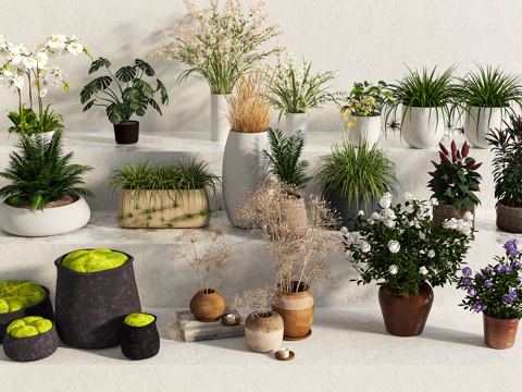  绿植 盆栽 花卉 台阶 花坛3d模型 