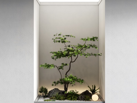  现代室内景观 景观造景 小品 枫树 景观树 堆3d模型 