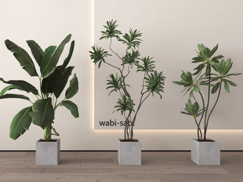  现代盆栽 盆景 绿植3d模型 
