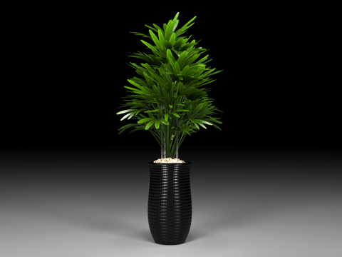  绿植盆栽 植物盆景盆栽 植物组合 花卉 盆景装饰摆件 绿萝3d模型 