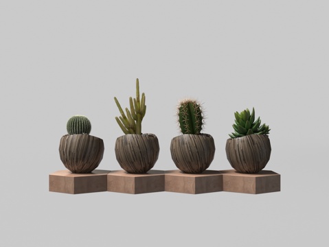  多肉植物盆栽3d模型 