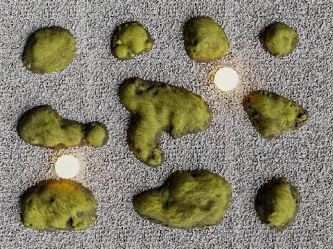  微景观 苔藓植物堆 小石子3d模型 