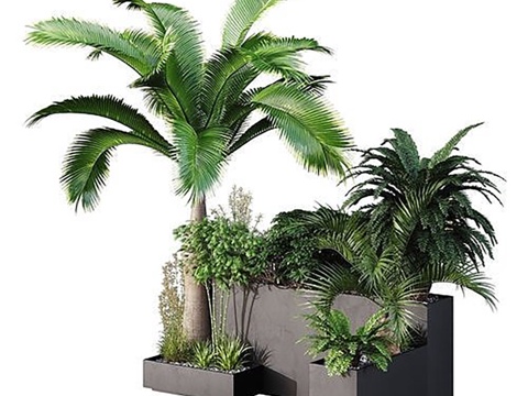  现代 植物 绿植花箱室内植物3d模型 