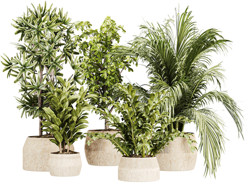  新中式侘寂绿植盆栽3d模型 