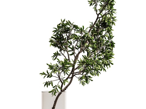  现代花瓶花艺3d模型 