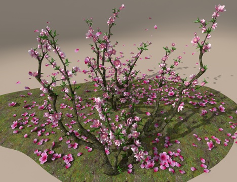  桃树3d模型 