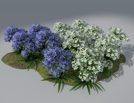  景观花草3d模型 