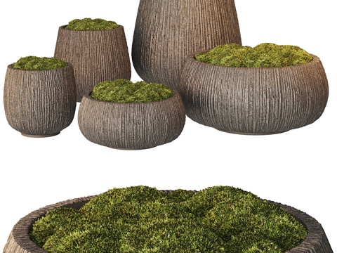  新中式盆景 苔藓3d模型 
