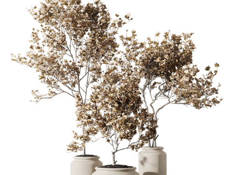  绿植摆件 户外绿植 阳台绿植 落地 室内绿植 盆栽 绿植盆栽3d模型 