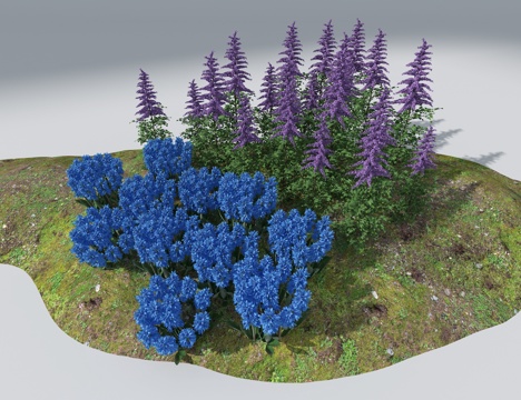  景观花草3d模型 