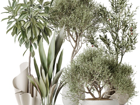  新中式侘寂绿植盆栽3d模型 