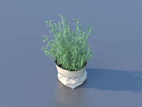  蔬菜 菜叶 食物3d模型 