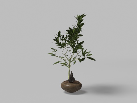  中式绿植盆景3d模型 