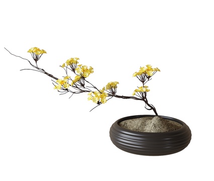  现代盆栽盆景 植物摆件su模型 