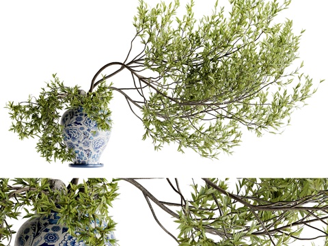  现代植物盆栽盆景绿植3d模型 