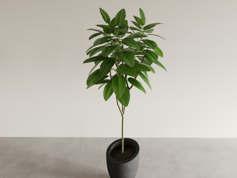  盆景盆栽 室内绿植 植物摆件 植物花盆 花瓶花盆3d模型 