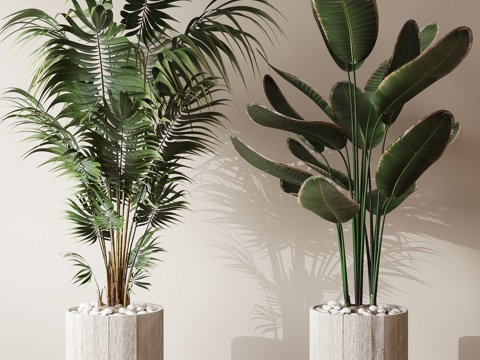  盆栽植物su模型 