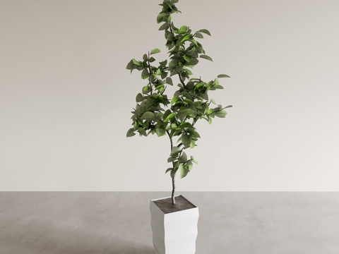  盆景盆栽 室内绿植 植物摆件 植物花盆 花瓶花盆3d模型 