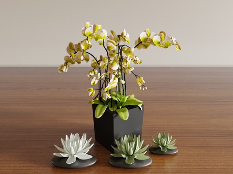  花瓶 花艺 花卉 插花 绿植 盆景 盆栽 室内绿植 植物摆件3d模型 