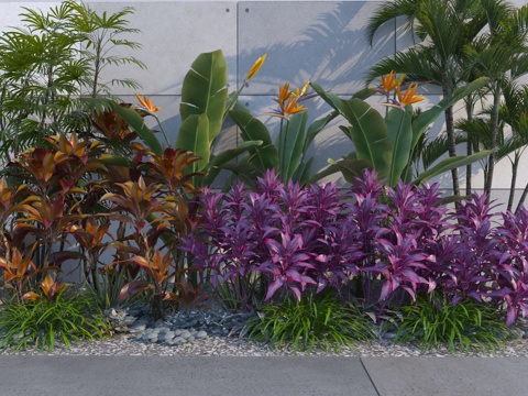  现代植物组合3d模型 
