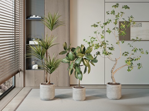  现代绿植盆栽su模型 