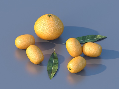 桔子 柑橘 水果 食物3d模型 
