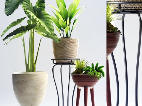  绿植盆栽3d模型 
