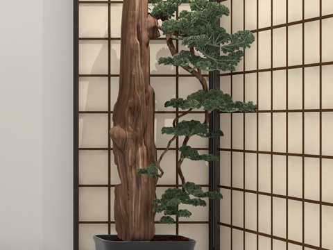  假山石头松树绿植盆景3d模型 