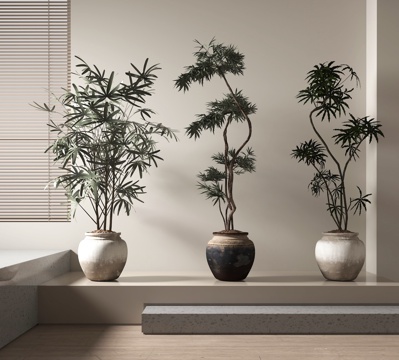  盆栽 盆景 绿植3d模型 