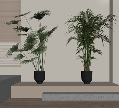  盆栽 盆景 绿植su模型 