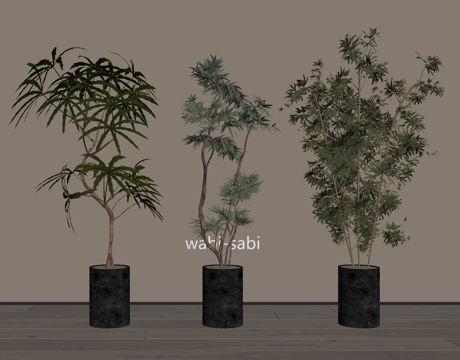  盆栽 盆景 绿植su模型 