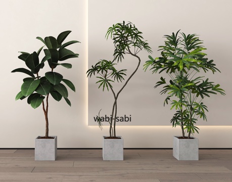  盆栽 盆景 绿植3d模型 