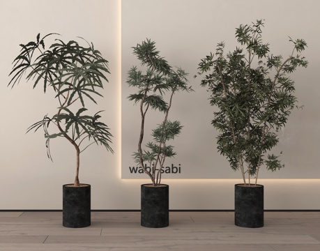  盆栽 盆景 绿植3d模型 
