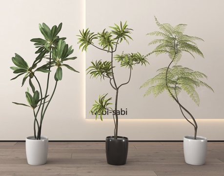  盆栽 盆景 绿植su模型 