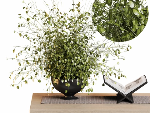  现代花卉盆栽植物摆件su模型 