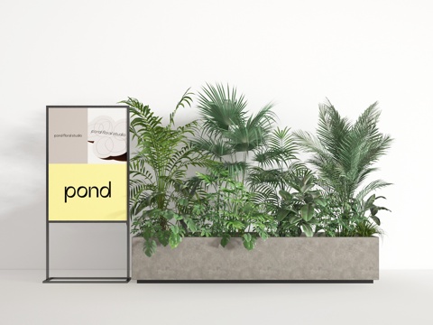 盆景3d模型 