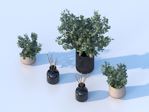  花盆 盆栽 绿植 植物3d模型 