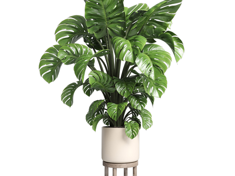  绿植盆栽3d模型 