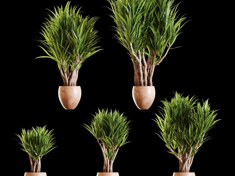  绿植盆栽3d模型 