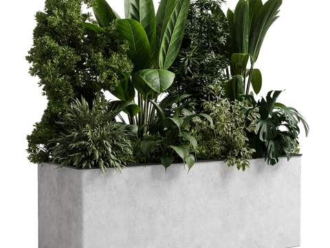  现代箱式植物3d模型 