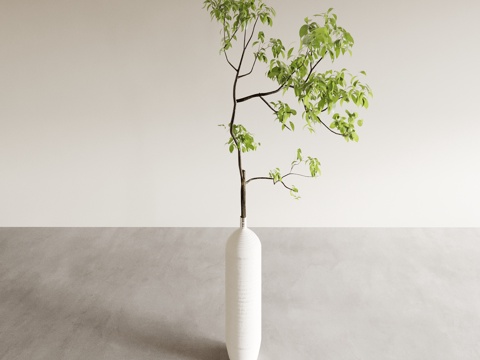  花瓶 花艺 花卉 插花 绿植 盆景 盆栽 室内绿植 植物摆件3d模型 