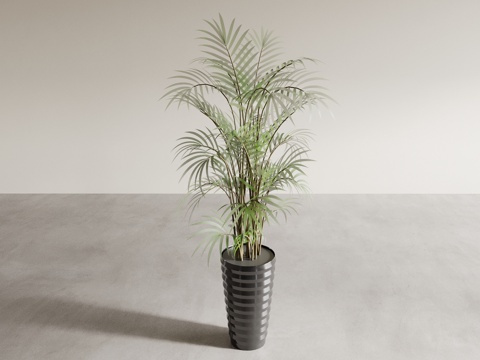  盆景盆栽 室内绿植 植物摆件 植物花盆 花瓶花盆3d模型 