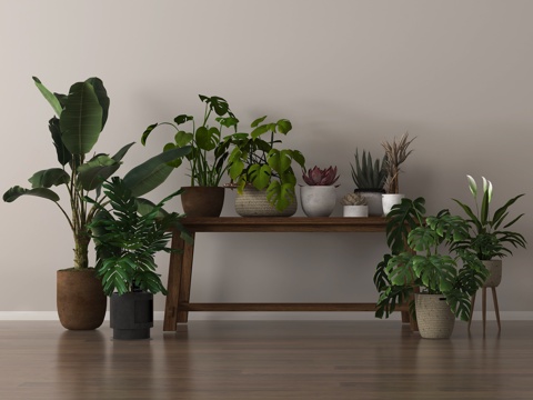  绿植 盆栽 盆景 花架3d模型 
