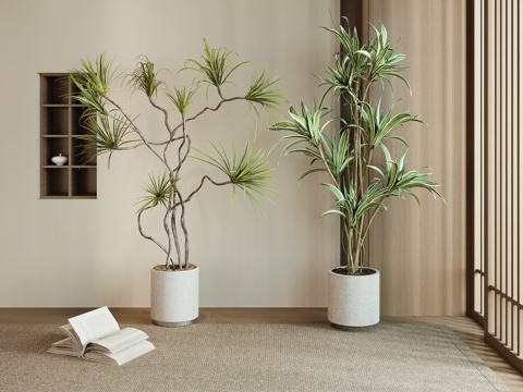  现代绿植盆栽3d模型 