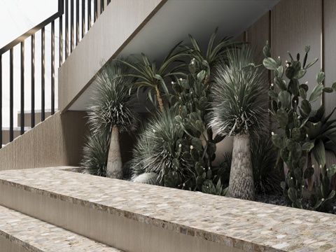  现代楼梯间 景观楼梯间 仙人掌仙人球3d模型 