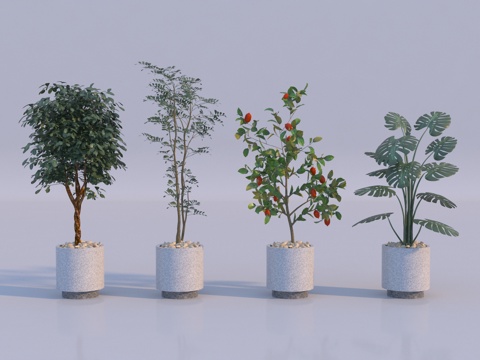  现代植物盆栽组合3d模型 