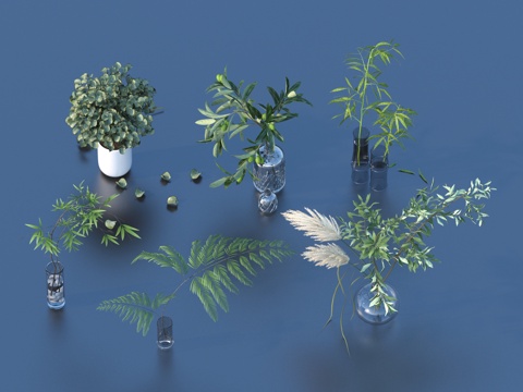  花盆 盆栽 绿植 植物3d模型 