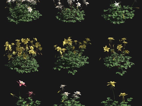  蓝花耧斗花草灌木3d模型 