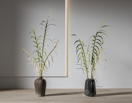  侘寂陶罐植物花瓶 绿植花瓶 绿植盆栽 植物盆栽3d模型 