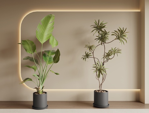  现代绿植盆栽3d模型 